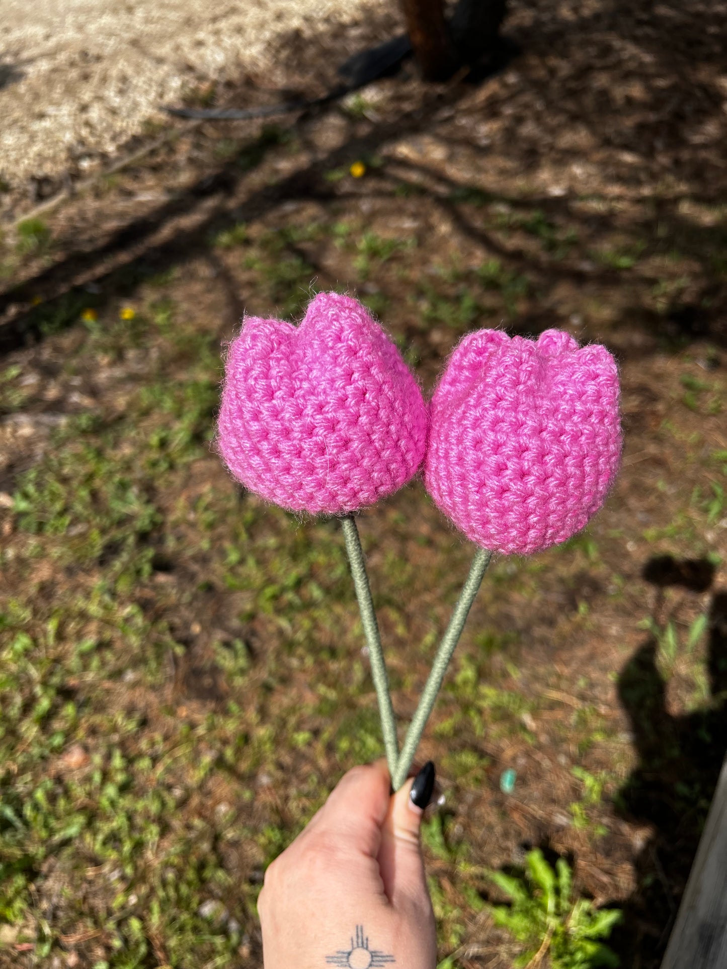 Pink Tulips