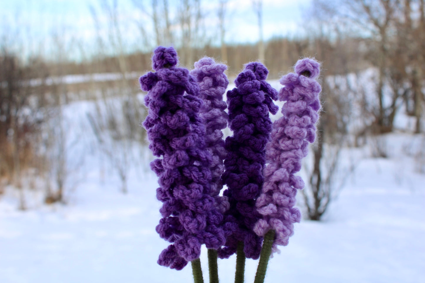 Lavender