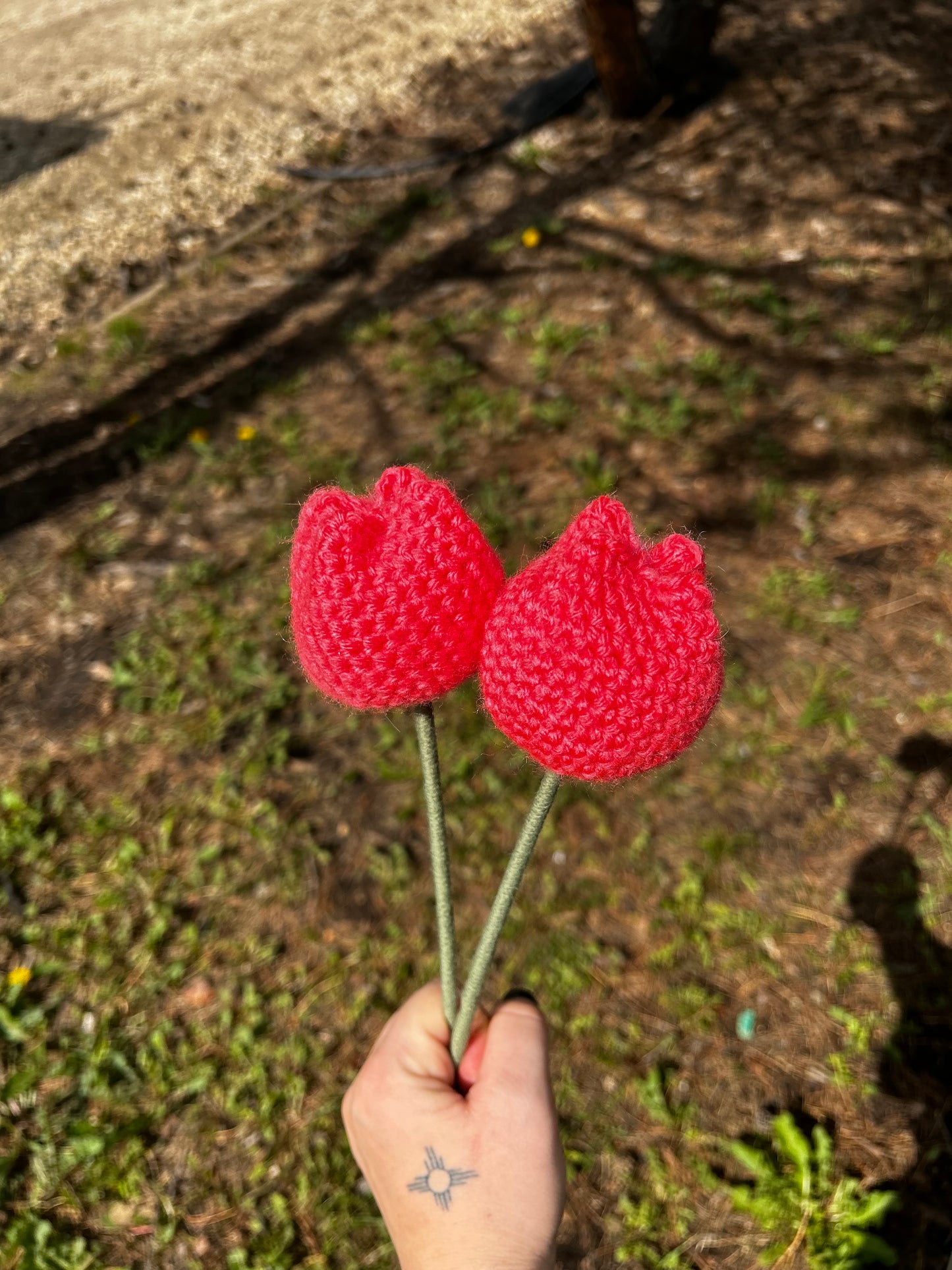 Coral Tulips