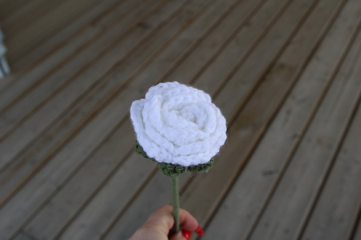 White Rose